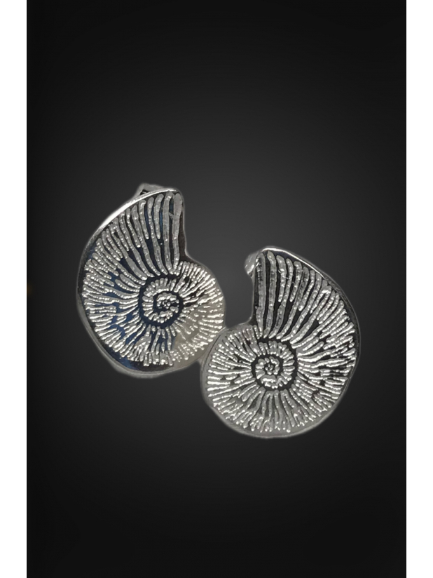 Nautilus Post Sterling Silver Earrings